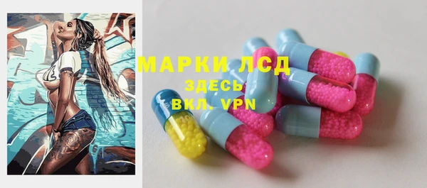 винт Вяземский