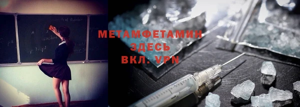 прущие грибы Вязники