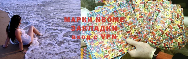 прущие грибы Вязники