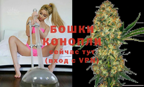 винт Вяземский