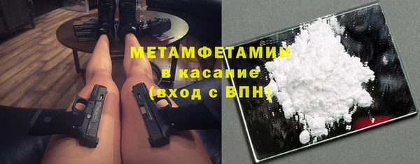 прущие грибы Вязники