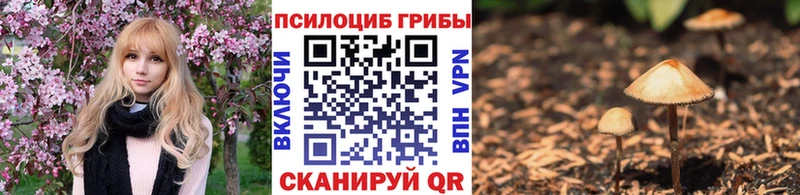 Купить закладки  Козельск  Галлюциногенные грибы ЛСД 